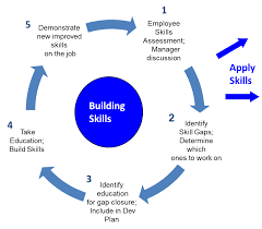 Mastering the Art of Skill Building: A Path to Personal and Professional Growth